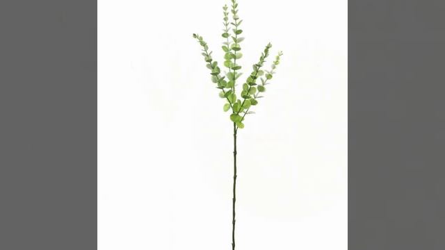 Artificial Eucalyptus Branch Set (Set of 24) смотреть онлайн