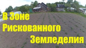 В Зоне Рискованного Земледелия // Жизнь в деревне