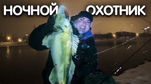 ⚡️НАПОРОЛИ⚡️напильниковНОЧНОЙ СУДАКна воблеры! Рыбалка на Москва реке. Ловля ночного судака