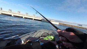 Финский залив, судак... Первый блин комом...