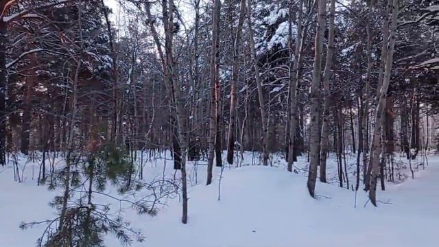 Зимняя сказка? смотреть онлайн