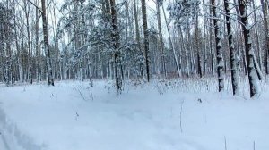 Тест трёх осевого стабилизатора для телефона и экшен камеры