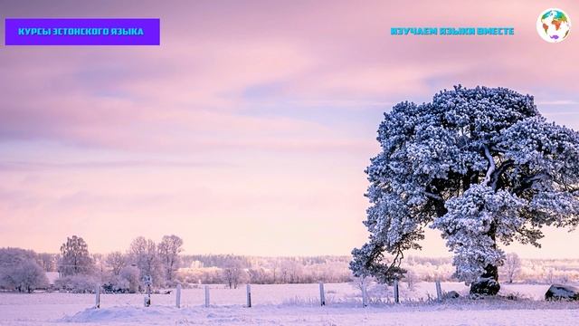 Курс Эстонского Eesti keel Языка - Урок 1. Учим Языки Вместе Эстонский язык смотреть онлайн