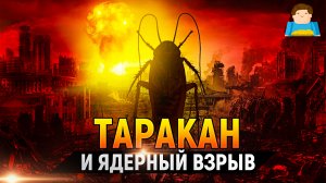 Действительно ли таракан может пережить Ядерный взрыв? | Plushkin