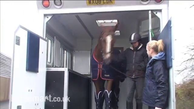 How to load and unload your horse onto a horsebox смотреть онлайн