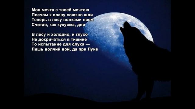 Стихи Черкашин Дмитрий - Волки смотреть онлайн