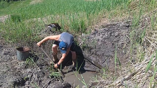 Чистка родника ведром в моем пруду зажигательно и грязно стоит посмотреть