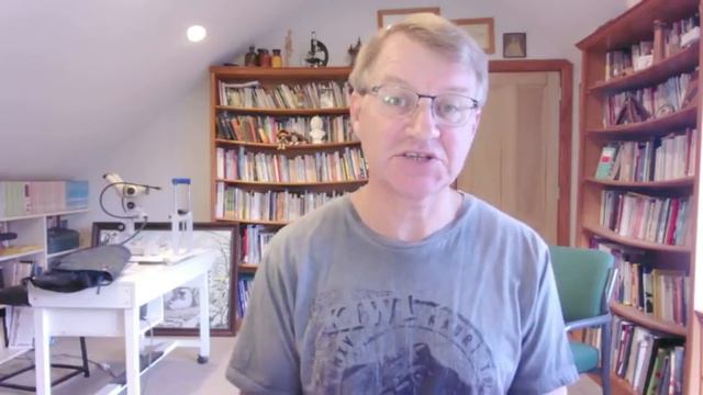 Gut-Healing Strategies: Top Foods to Repair Your Gut Now | Ask Eric Bakker смотреть онлайн