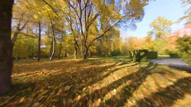 Осень в Зеленогорске смотреть онлайн