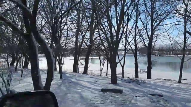 У нас новый член семьи!!! КАНАДСКИЙ СФИНКС!!!Мы вернулись!!!Едим за покупками..mp4 смотреть онлайн