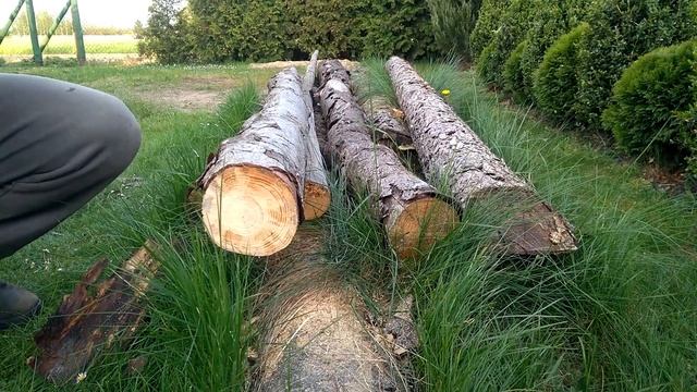 Fiskars SW84 VS Husqvarna 300 смотреть онлайн