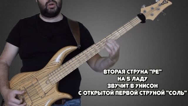 Ноты на гитаре/бас-гитаре. Три ЛАЙФХАКА как запомнить НОТЫ на ГРИФЕ  / #видетьгриф