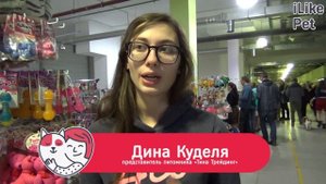 Венгерская выжла. О породе, особенности, уход