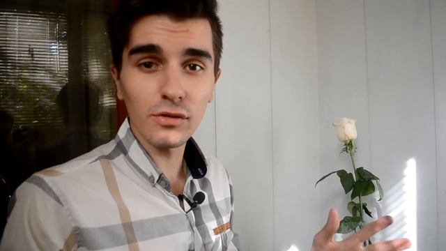 ВОЗМОЖНО ЛИ ПОКРАСИТЬ РОЗУ ДОМА? (ЭКСПЕРИМЕНТ С КРАСИТЕЛЕМ) смотреть онлайн