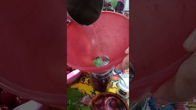 КОМПОТ АССОРТИ ВИШНЯ, ЧЕРЕШНЯ, СМОРОДИНА, МАЛИНА ТРАВЫ смотреть онлайн