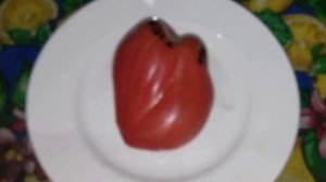 Томат , сорт "Розовый Тюльпан "