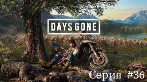 Days Gone ✮Жизнь после✮ ► Серия #36