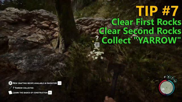 13 Things YOU NEED To Do FIRST: Sons Of The Forest (PC Max Settings) смотреть онлайн