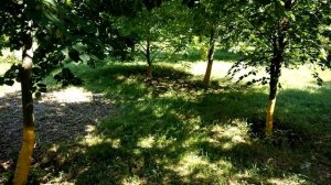 Рацион Питания на СУШКЕ для ЭКТОМОРФА!Как ПОХУДЕТЬ или ПОДСУШИТЬСЯ?!Убираем ЖИВОТ!