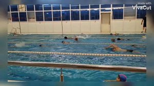 Праздничные заплывы ко Дню Семьи. Альбатрос. Армавир