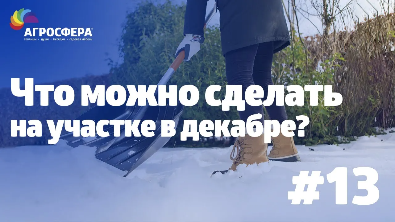 Советы для дачи и сада #13 - на что обратить внимание на участке в декабре / агросфера.рф смотреть онлайн