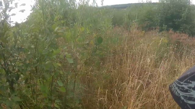 13,09,2015 эндуро прохват Racer RC250XZR ENDURO,Racer Ranger 200. смотреть онлайн