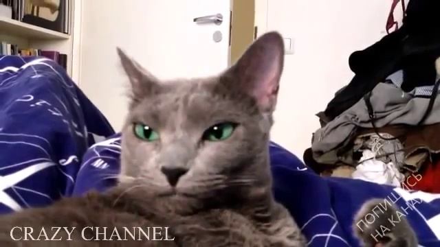 Подборка! Улётные Приколы и Неудачи 2015 смотреть онлайн