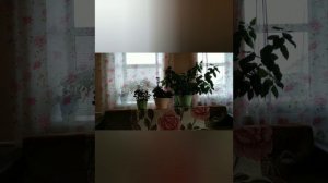 Поздравляем внучку с днём рождения