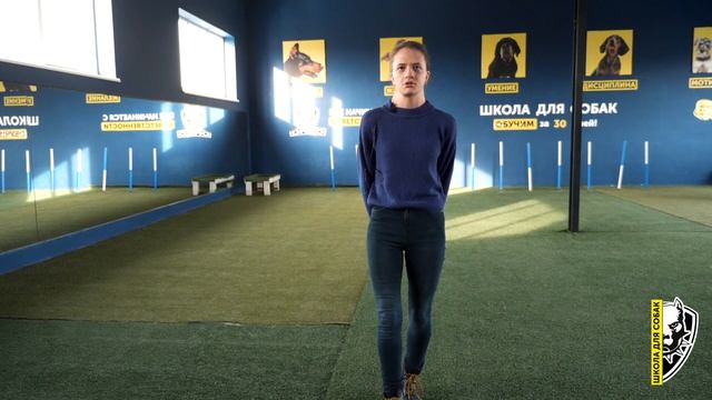 Отзыв о дрессировке | Лабрадор Юджин | Школа для собак DRED | Дрессировка собак Украина смотреть онлайн