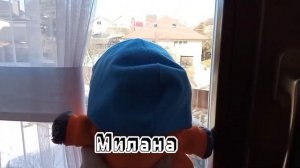 #басик #басики Как назвать Басика?/Лили?? ~ Оригинальные имя для Басика?/Лили?