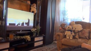 #Телевизор самсунг смарт тв - управление жестами руки дистанционно телевизор  samsung galaxy