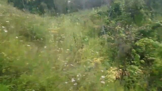 НА РЫБАЛКУ С СЫНОВЬЯМИ\НА РУЧЕЙ ЗА ВОДОЙ\ПИКНИК И КУПАНИЕ\ смотреть онлайн