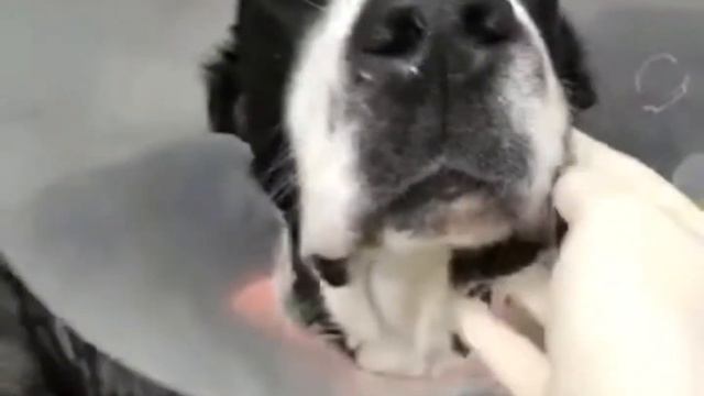 #сбитыйалабай смотреть онлайн