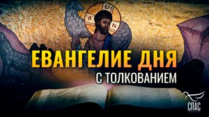 «Я ДАЮ ИМ ЖИЗНЬ ВЕЧНУЮ, И НЕ ПОГИБНУТ ВОВЕК» / ЕВАНГЕЛИЕ ДНЯ