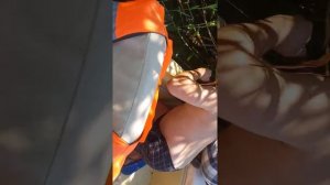 Ловля сазана на поставушки.