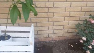 Семейное кафе,все в духе времени. Небольшая экскурсия.