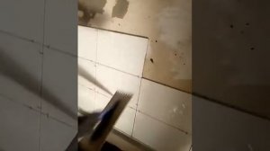 Как правильно наносить клей цемент на плитку.