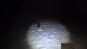 НОЧНОЙ СУДАК НА ПОСТАВУШКИ. Зимняя рыбалка на судака. Чистополь