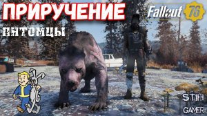 Fallout 76: Приручение Питомцев ➤ Гайд