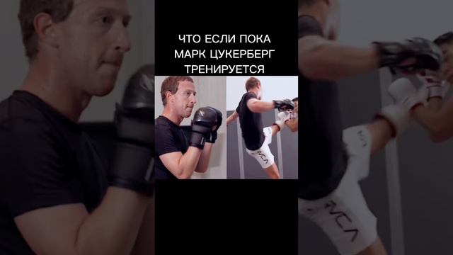 #илонмаск #маркцукерберг #бой #джиуджитсу #миллиардеры #миллиардер #фейсбук #инстаграм  #марсианин
