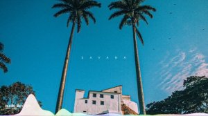 Savana — Vendredi | Free Background Music | Audio Library Release