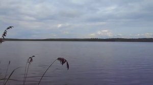 Озеро Половинное