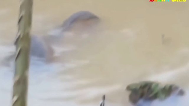 Приколы на рыбалке.