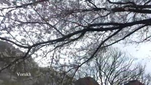 Природа Ворух