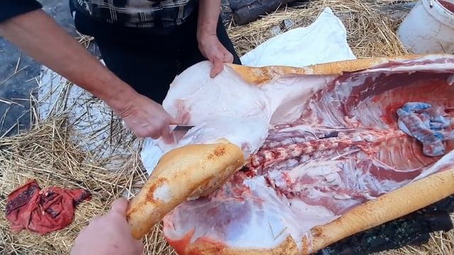 Как разделать тушку свиньи// свиная туша