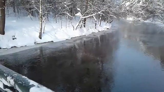 Ленинградская область. Река Сестра. Сестрорецк смотреть онлайн