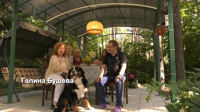 Бернские зенненхунды и кавалер-кинг-чарльз-спаниели смотреть онлайн