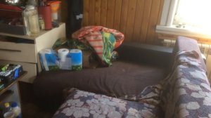 отопление для дома с  экономичным котлом