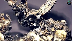 Самые крупные СОКРОВИЩА которые были найдены