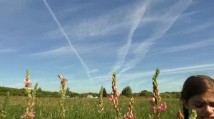 Бамблби и Оптимус спасают Веронику.😱 (Серия 2) Трансформеры против десептиконов.  6+